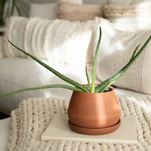 Load image into Gallery viewer, The Rancho Planter | Terra
