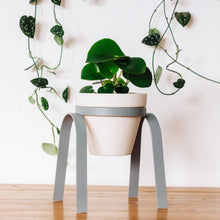 Load image into Gallery viewer, The Perch Planter
