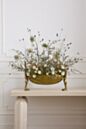 Load image into Gallery viewer, Frankie + Margie Brass Dish Stand
