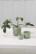 Load image into Gallery viewer, Everleaf Pot
