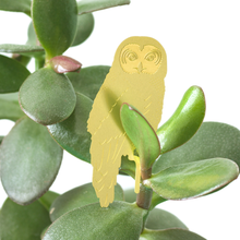 Load image into Gallery viewer, Plant Accent | Owl
