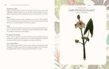 Load image into Gallery viewer, Language of Houseplants
