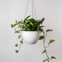 Load image into Gallery viewer, Signature Hanging Planter Pot | Black
