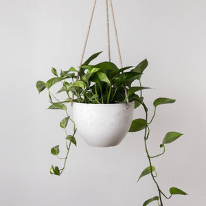 Signature Hanging Planter Pot | Black