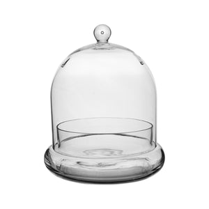 Glass Cloche