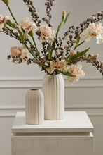 Load image into Gallery viewer, Heights Vase
