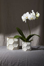 Load image into Gallery viewer, Jabi Pot
