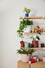 Load image into Gallery viewer, Kendall Pot | Berry
