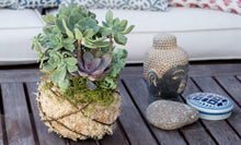 Load image into Gallery viewer, Hanging Kokedama Ball | Natural
