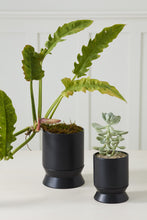 Load image into Gallery viewer, Madison Pot | Black
