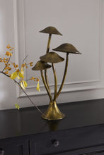 Load image into Gallery viewer, Maitake Mushroom Forest
