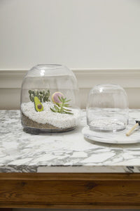 Oliver Terrarium