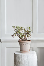 Load image into Gallery viewer, Københavner Terracotta Saucer | Rosa
