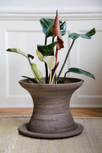 Load image into Gallery viewer, Celeste Terracotta Planter | Grey Set
