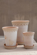 Load image into Gallery viewer, Københavner Terracotta Planter | Rosa Tall
