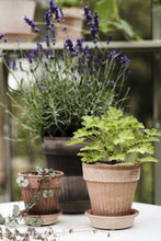 Load image into Gallery viewer, Simona Terracotta Planter | Rosa
