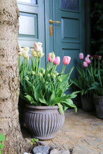 Load image into Gallery viewer, Piccolina Terracotta Planter | Grey
