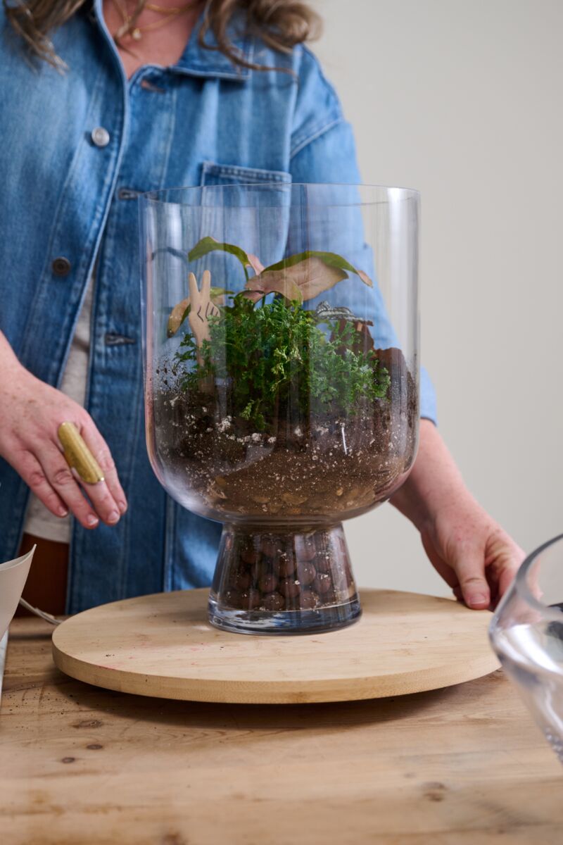 Reservoir Terrarium