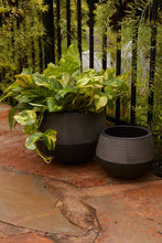 Load image into Gallery viewer, Revolution Planter
