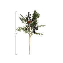 Load image into Gallery viewer, Cypress Stem with Berries
