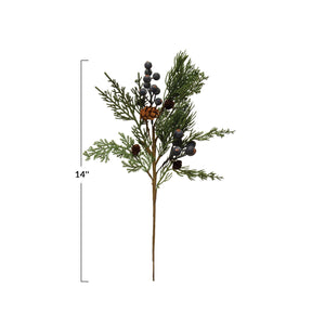 Cypress Stem with Berries