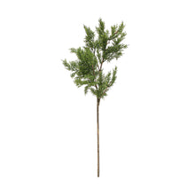 Load image into Gallery viewer, Hinoki Cypress Branch

