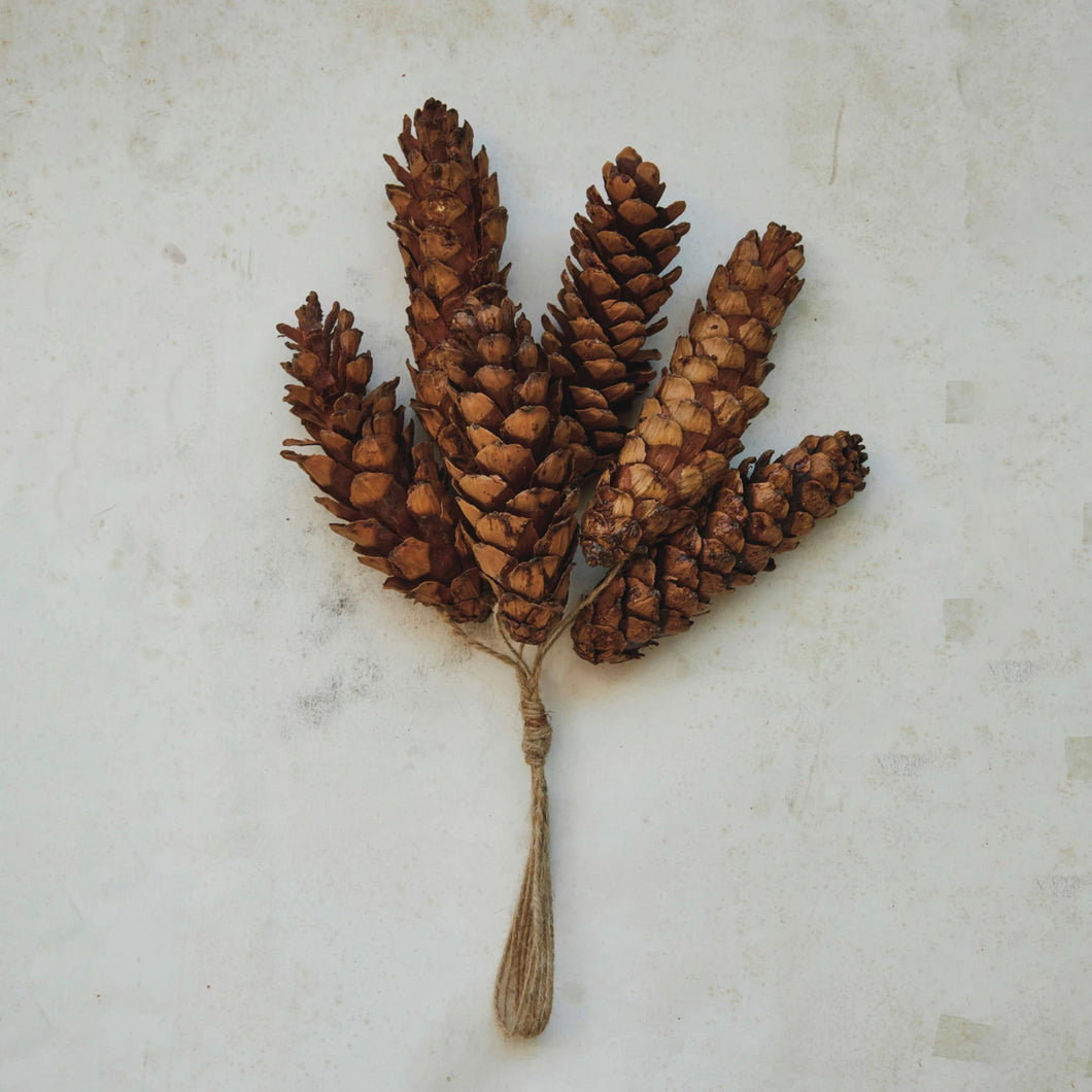 Preserved Pinecone Ornament