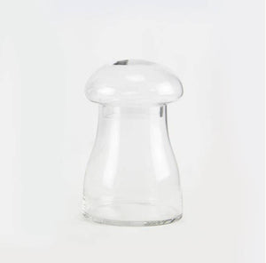 Glass Mushroom Terrarium
