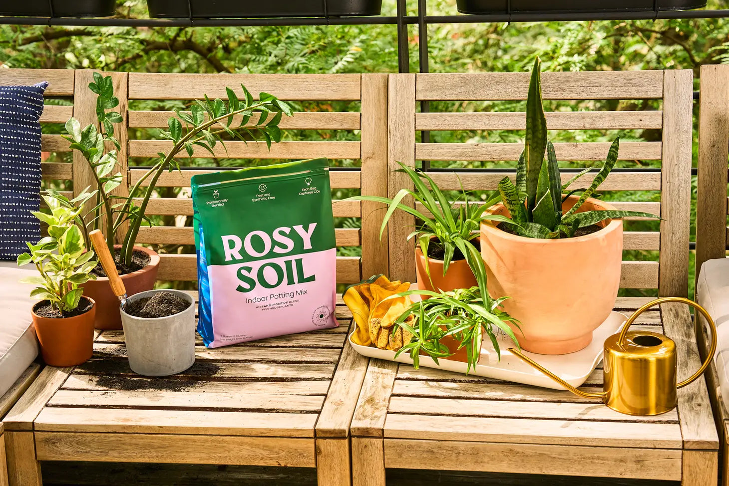 indoor plants potting soil Organic Potting Soil – Botanical Dwellings
