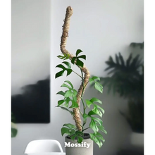 Load image into Gallery viewer, Bendable Moss Pole
