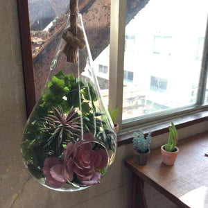 Teardrop Hanging Vase