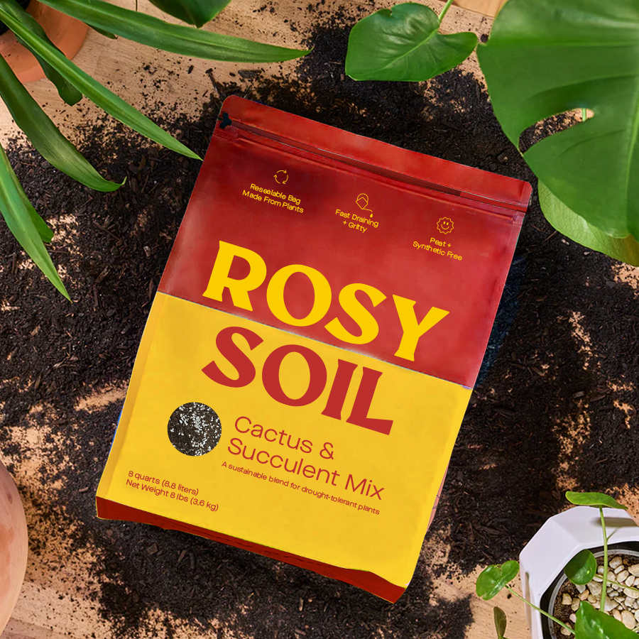 cactus soil mix home depot Organic Cactus & Succulent Soil – Botanical Dwellings