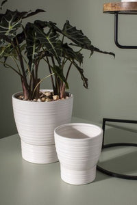 Olin Collection