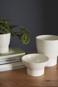 Olin Collection