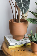 Load image into Gallery viewer, Crescendo Pot
