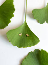 Load image into Gallery viewer, Ginkgo Stud Earring
