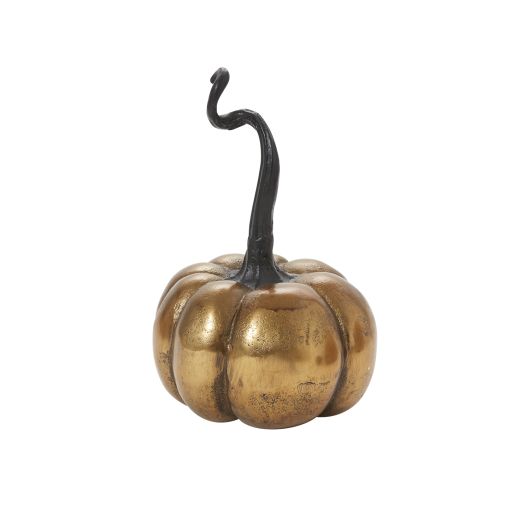 Genteel Pumpkin