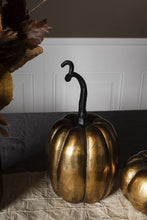 Load image into Gallery viewer, Genteel Pumpkin
