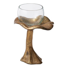 Load image into Gallery viewer, Golden Shroom Terrarium
