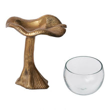 Load image into Gallery viewer, Golden Shroom Terrarium
