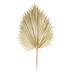 Dried Palm Leaf l Natural