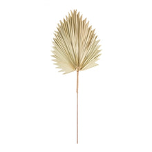 Load image into Gallery viewer, Dried Palm Leaf l Natural
