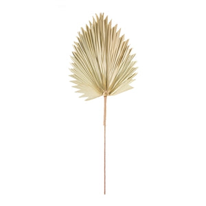 Dried Palm Leaf l Natural
