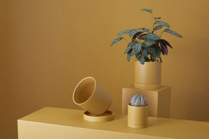 Romey Pot | Ochre