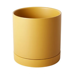 Romey Pot | Ochre