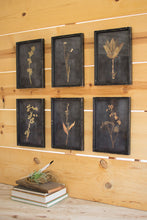 Load image into Gallery viewer, Dark Botanical Prints
