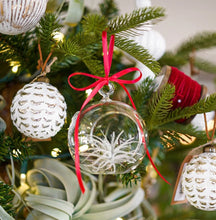 Load image into Gallery viewer, Hanging Globe Terrarium
