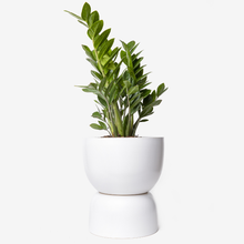 Load image into Gallery viewer, Hourglass Planter | Black
