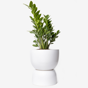 Hourglass Planter | White