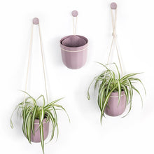 Load image into Gallery viewer, Loop Hanging Planter | Lavender
